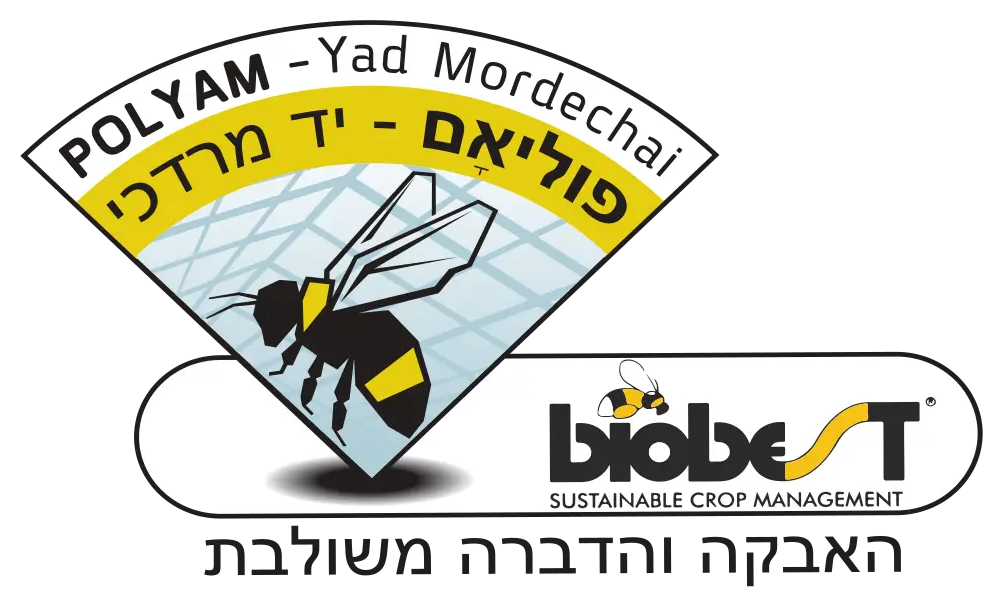 פוליאם יד מרדכי